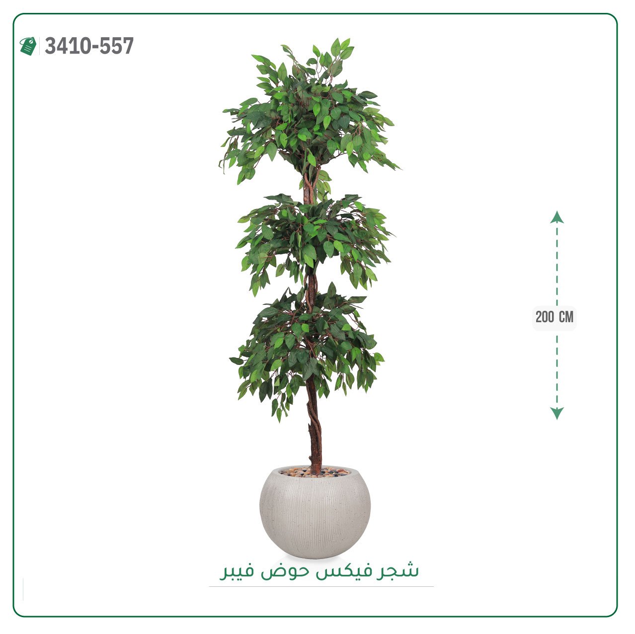 شجر فيكس صناعية حوض فيبر { ارتفاع 200 سم } - صورة 9
