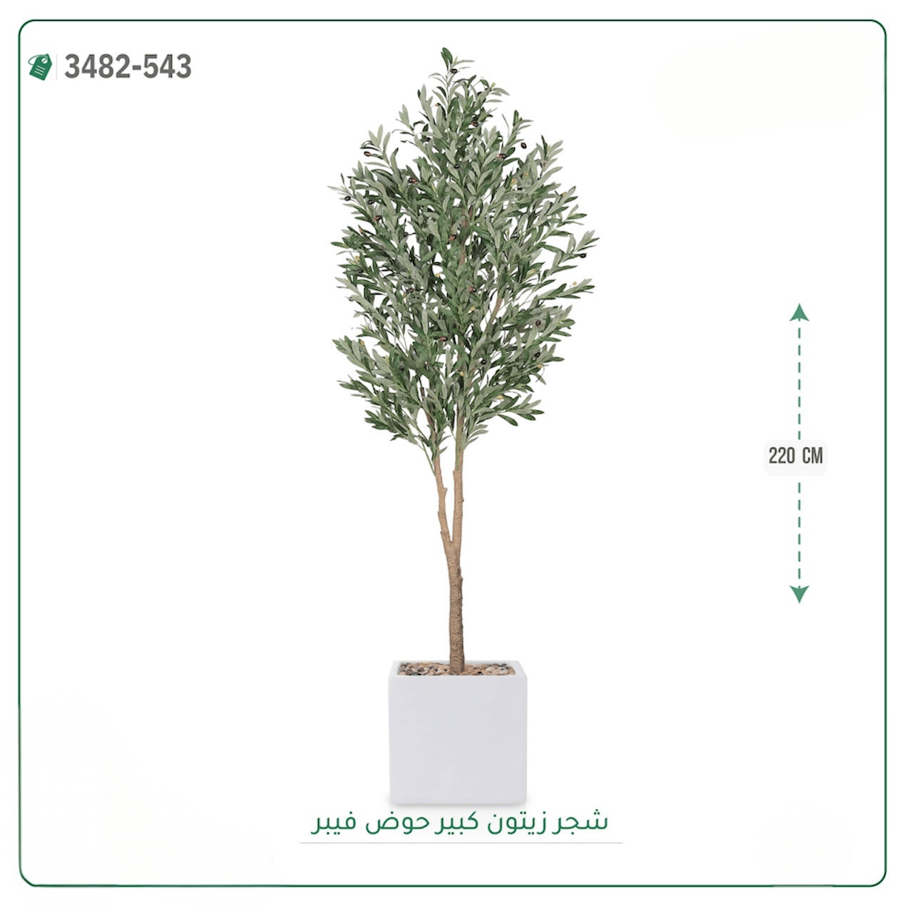 شجرة زيتون صناعية حوض فيبر { ارتفاع 220 سم } - صورة 2