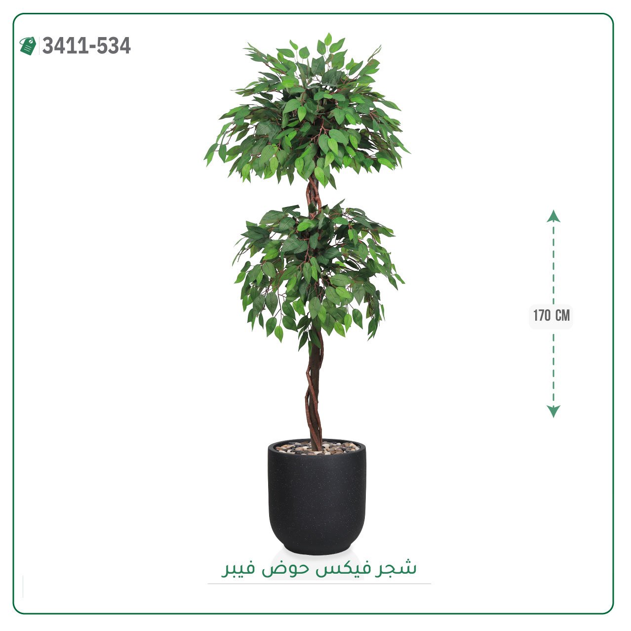 شجر فيكس صناعية حوض فيبر { ارتفاع 170 سم } - صورة 2