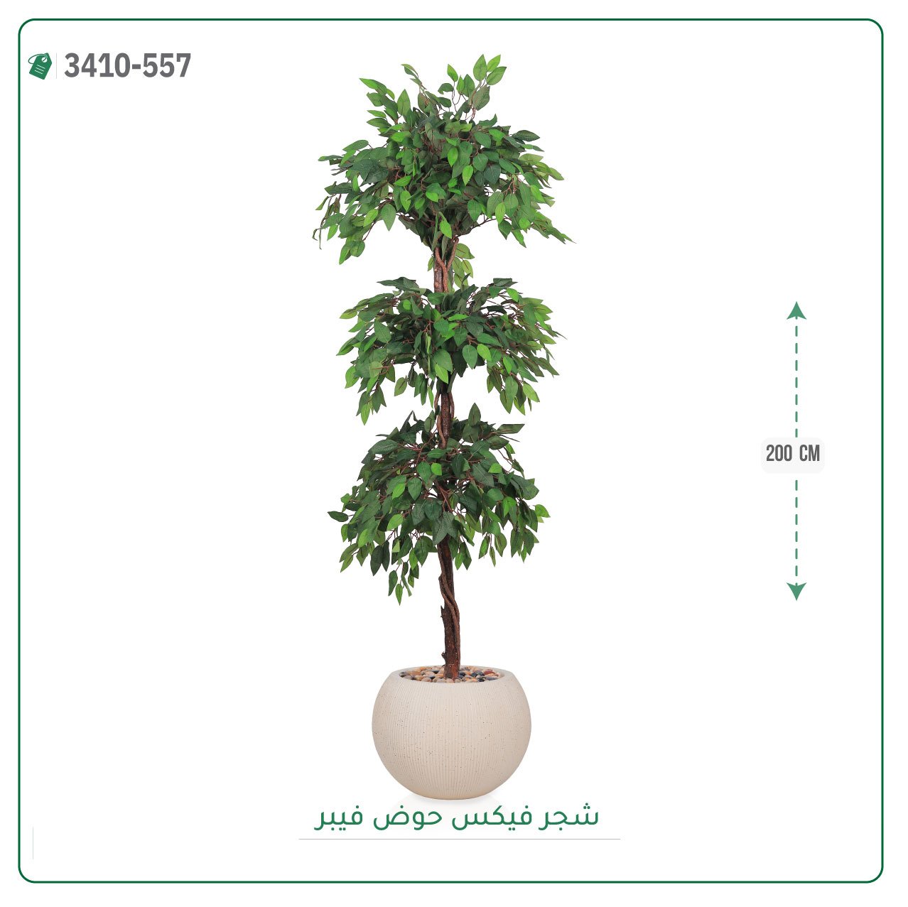 شجر فيكس صناعية حوض فيبر { ارتفاع 200 سم } - صورة 4
