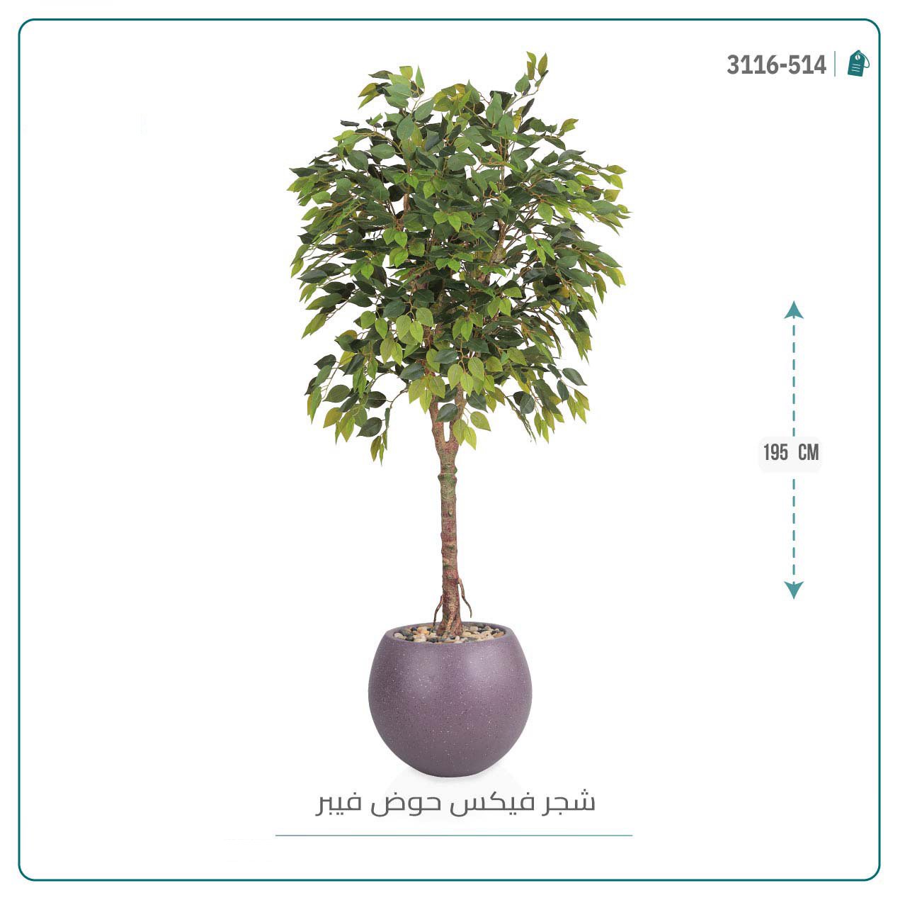 شجرة فيكس صناعية بحوض فيبر - Image 4