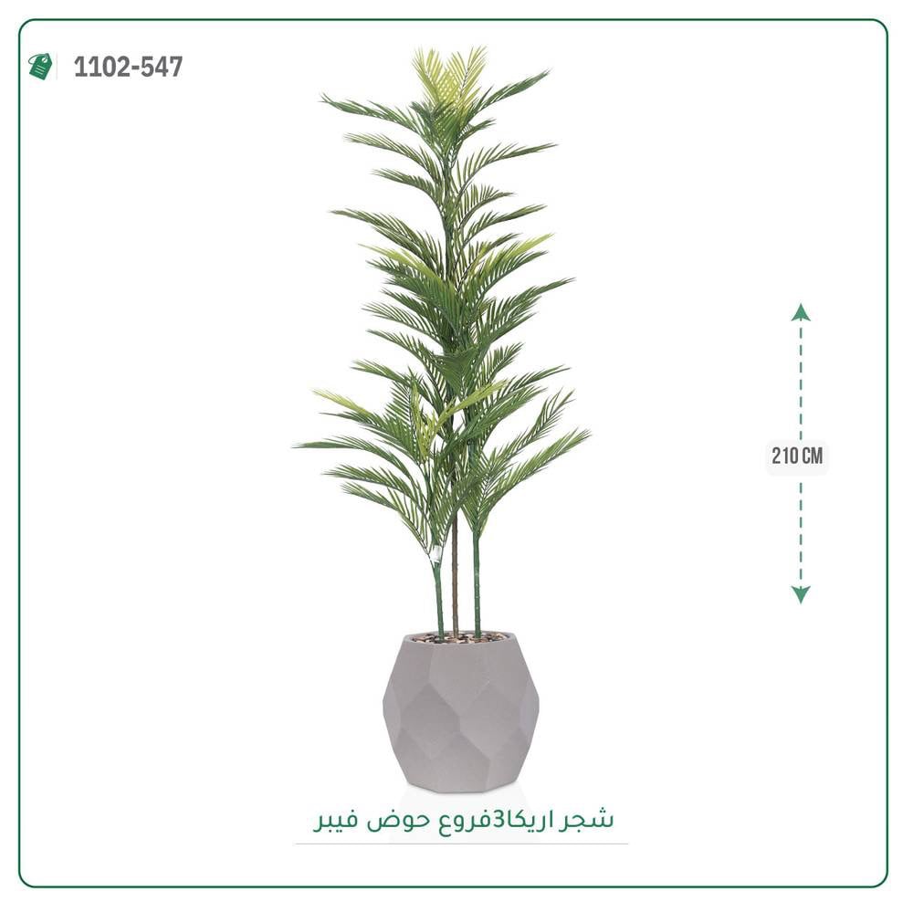 شجرة أريكا اصطناعية بمركن فيبر { 3 فرع } - صورة 1