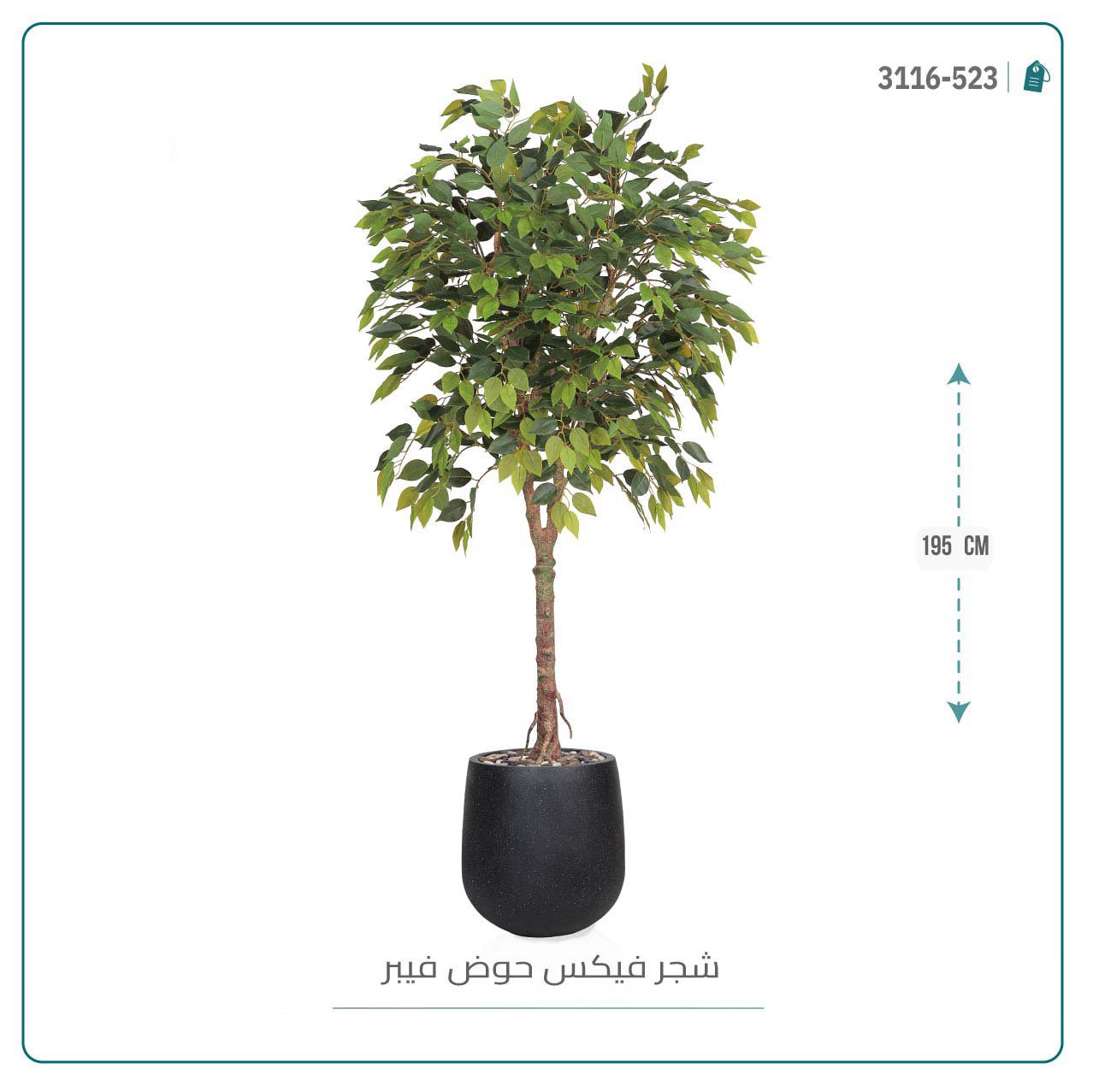 شجرة فيكس صناعي  بمركن فيبر { ارتفاع 195 سم }  - صورة 4