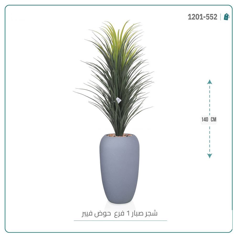 صبار اصطناعي كبير بحوض فيبر بيضاوى - صورة 1