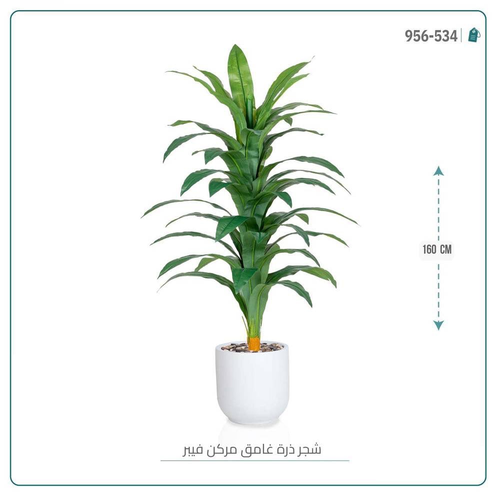 شجرة نبات الذرة { دراسينا } الاصطناعية بحوض فيبر أسطواني - صورة 7