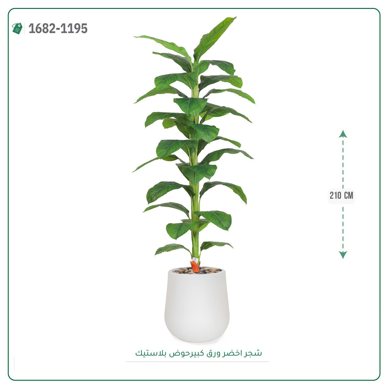 شجر أخضر صناعي حوض بلاستيك { ارتفاع 210 سم } - صورة 4