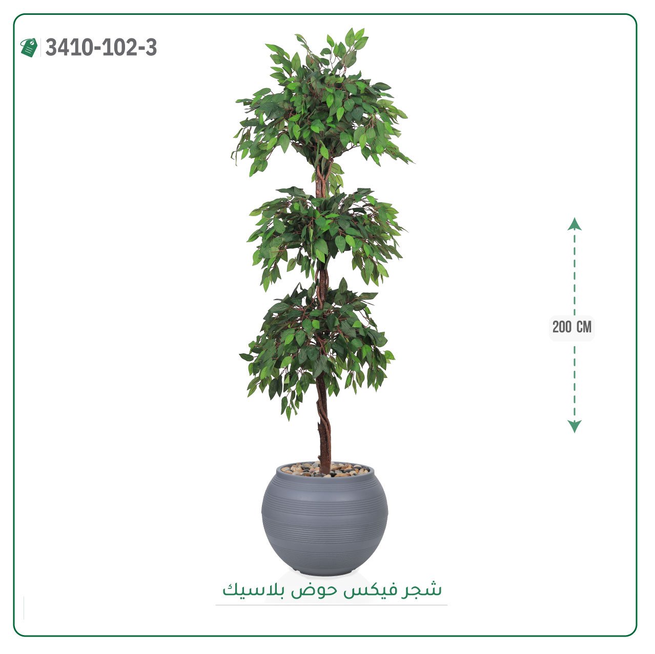 شجر فيكس صناعية حوض بلاستك { ارتفاع 200 سم } - صورة 4
