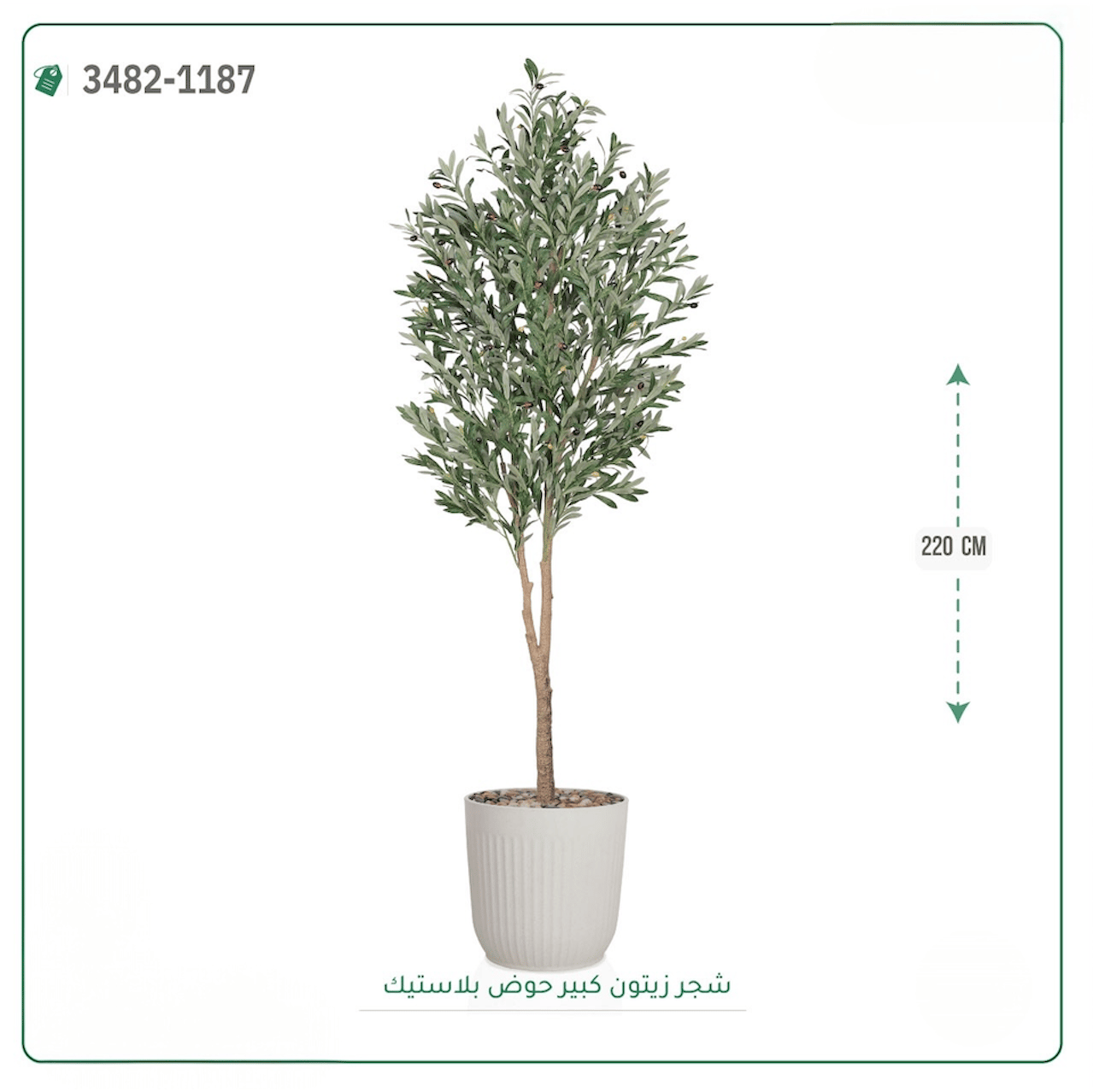 شجرة زيتون صناعية حوض بلاستك { ارتفاع 220 سم } - صورة 4