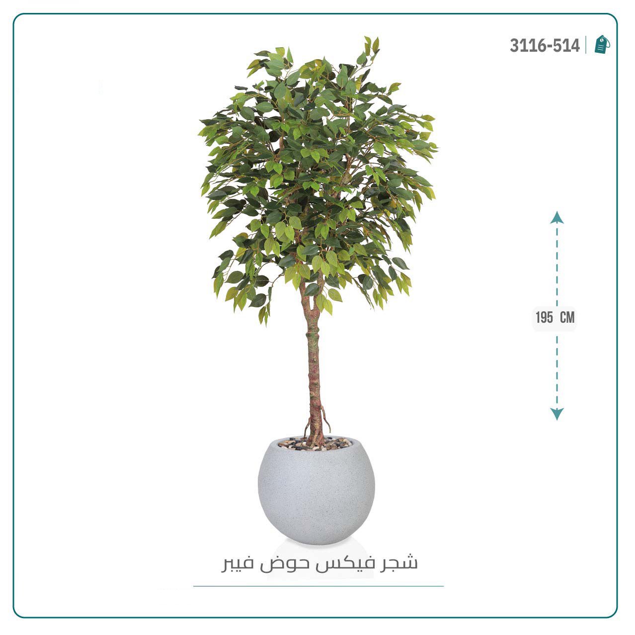 شجرة فيكس صناعية بحوض فيبر - Image 6