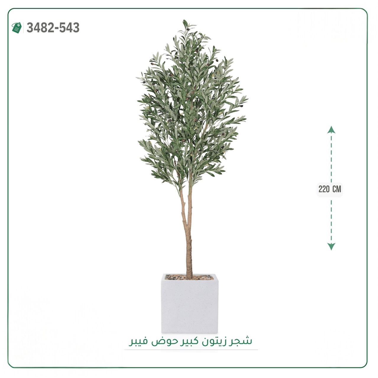 شجرة زيتون صناعية حوض فيبر { ارتفاع 220 سم } - صورة 4