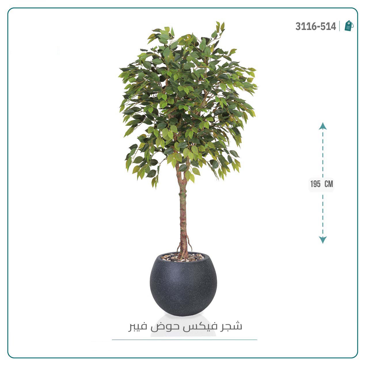 شجرة فيكس صناعية بحوض فيبر - Image 10