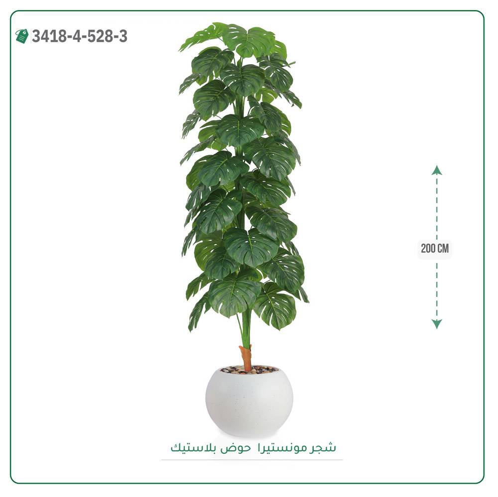 شجرة مونستيرا صناعية  حوض بلاستيك { ارتفاع 200 سم } - صورة 1