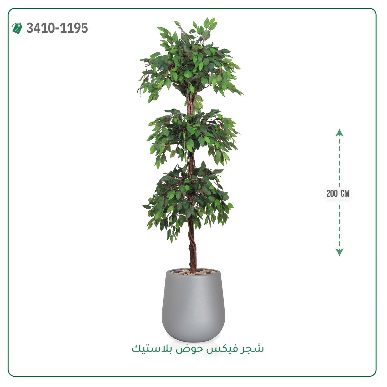 شجر فيكس صناعية حوض بلاستك { ارتفاع 200 سم } - صورة 4