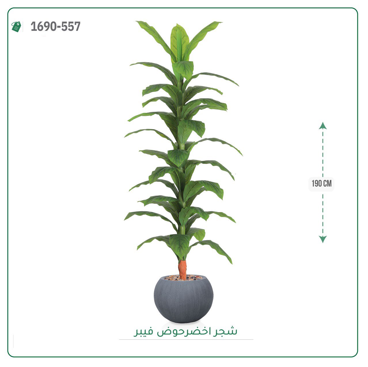 شجر أخضر صناعي حوض فيبر { ارتفاع 190 سم } - صورة 3