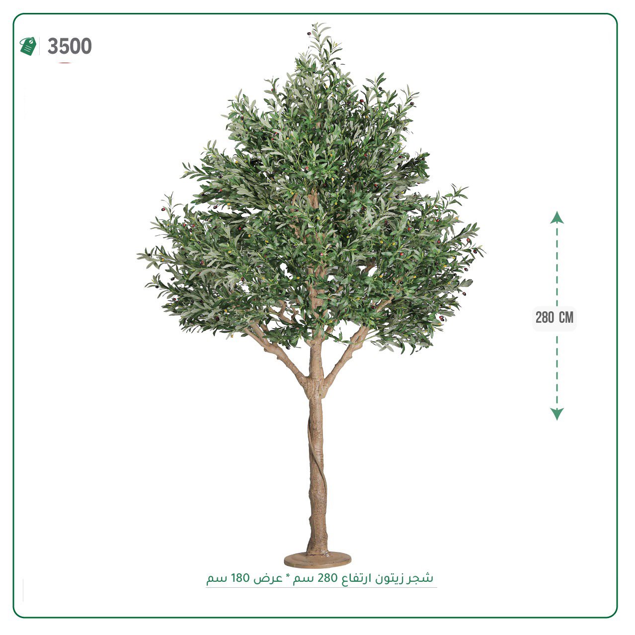 شجرة زيتون اصطناعية  حوض خام { ارتفاع 280 سم } - صورة 1