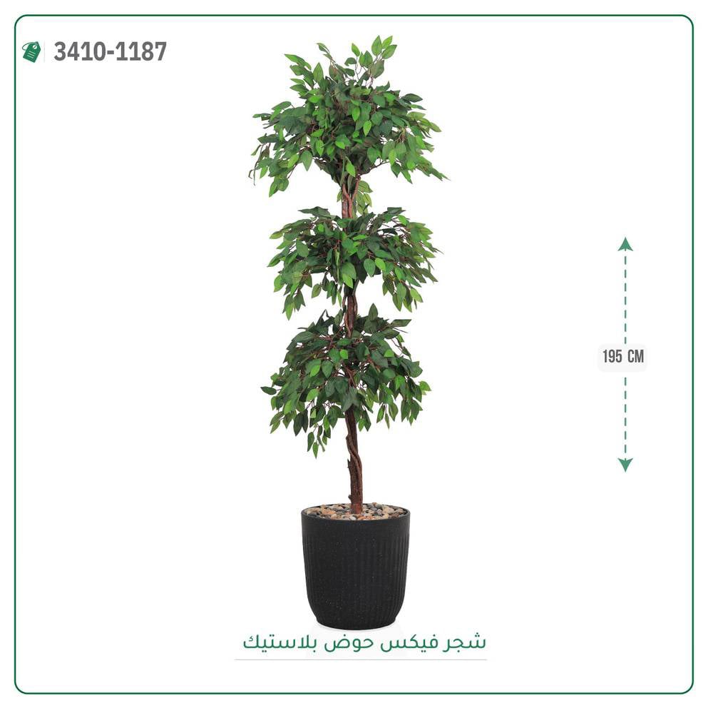 شجر فيكس صناعية حوض بلاستك { ارتفاع 195 سم } - صورة 1