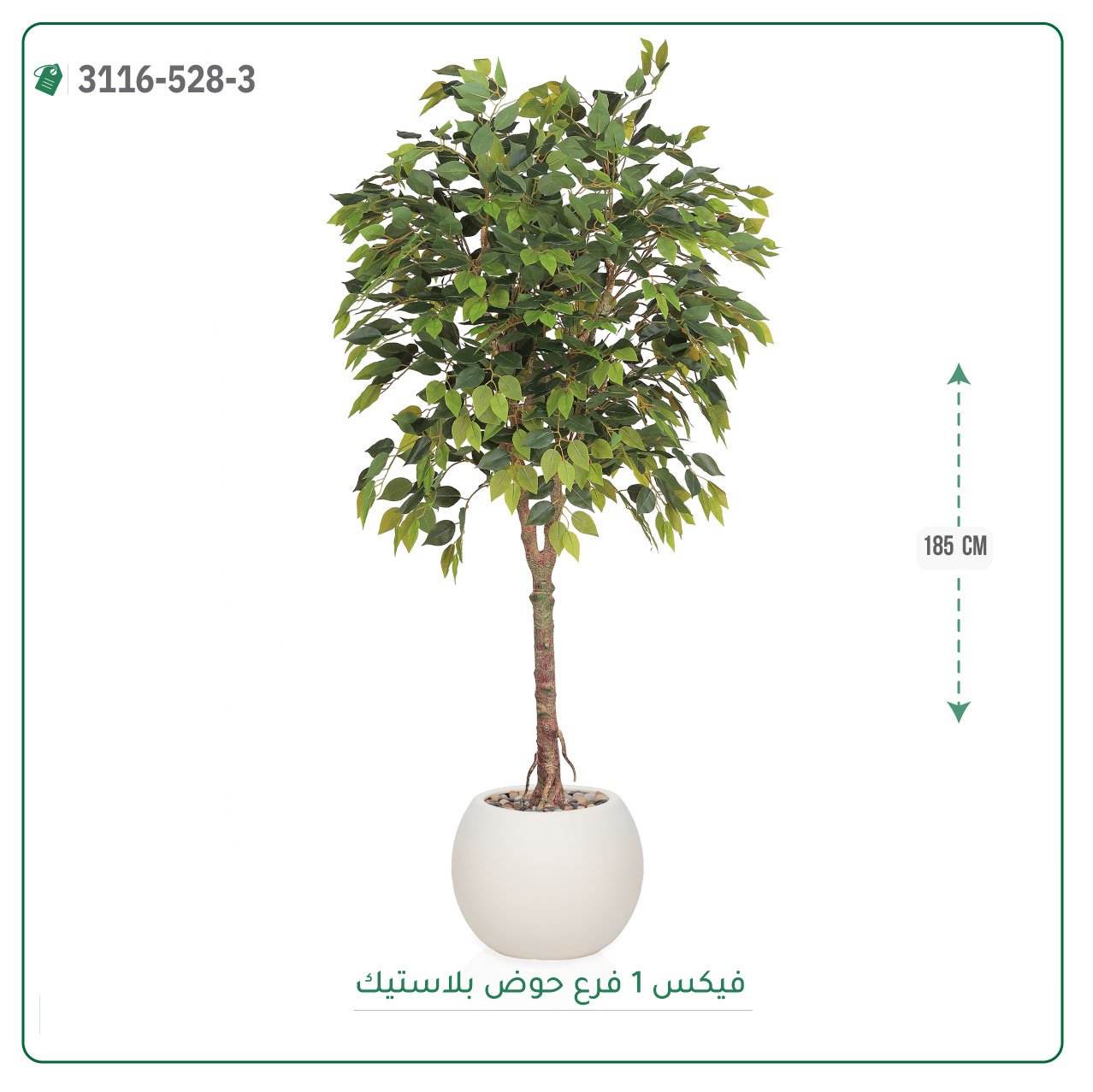 شجرة فيكس صناعية حوض بلاستيك { ارتفاع 185 سم } - Image 7