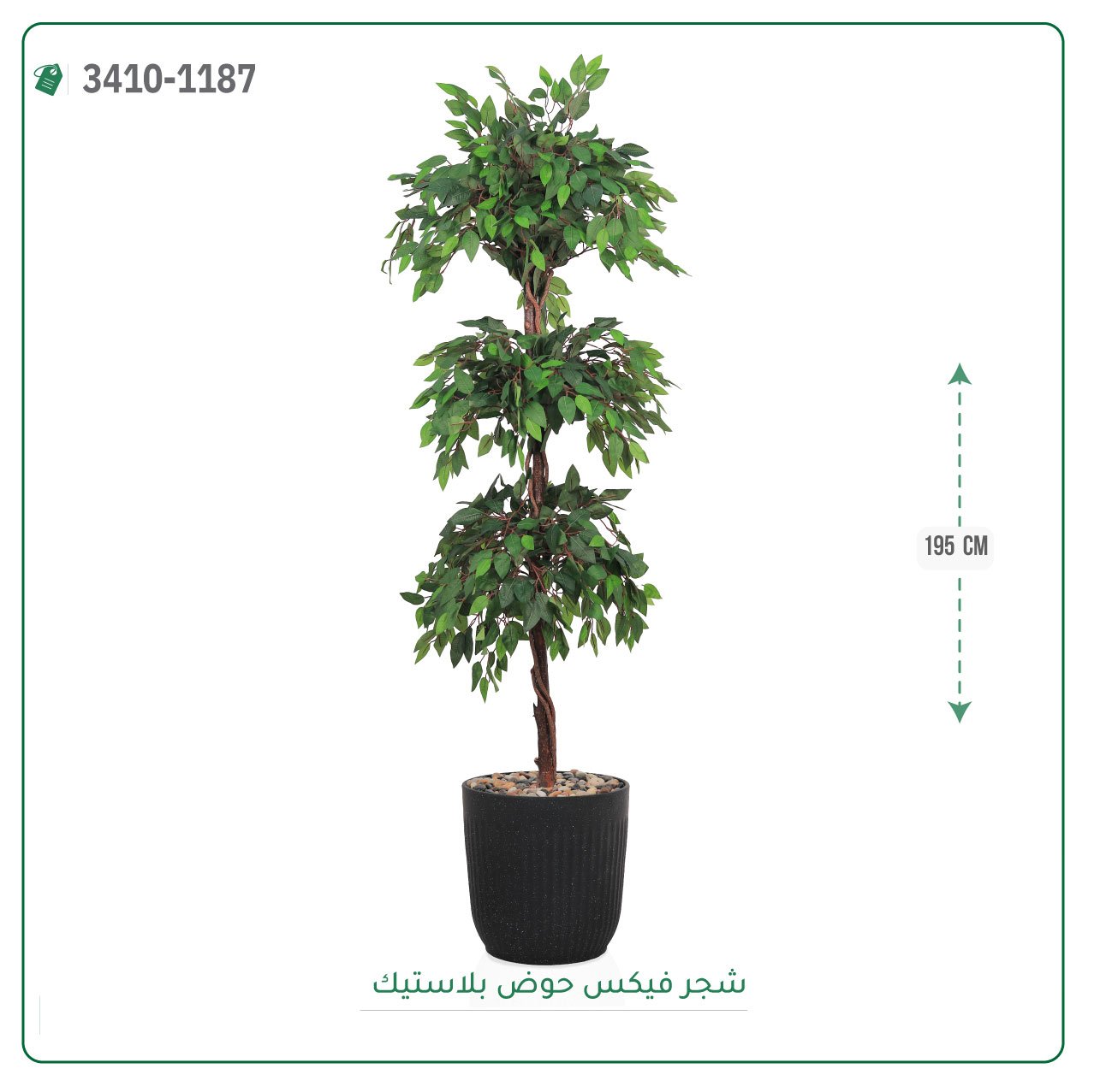 شجر فيكس صناعية حوض بلاستك { ارتفاع 195 سم } - صورة 4