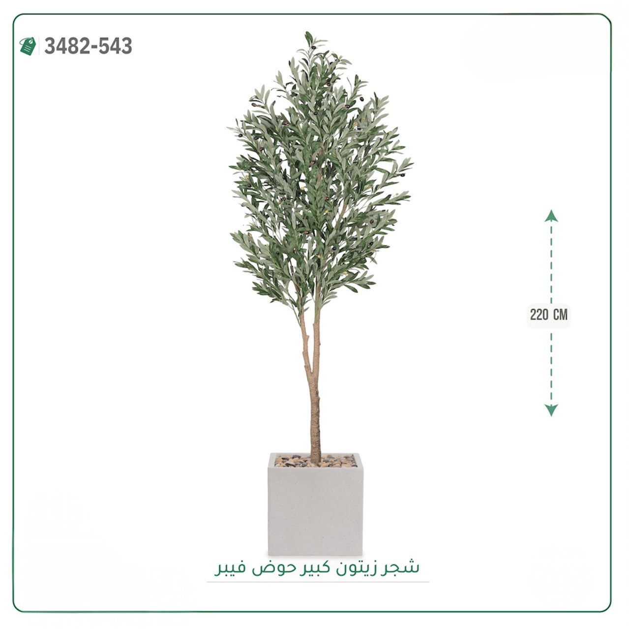 شجرة زيتون صناعية حوض فيبر { ارتفاع 220 سم } - صورة 1