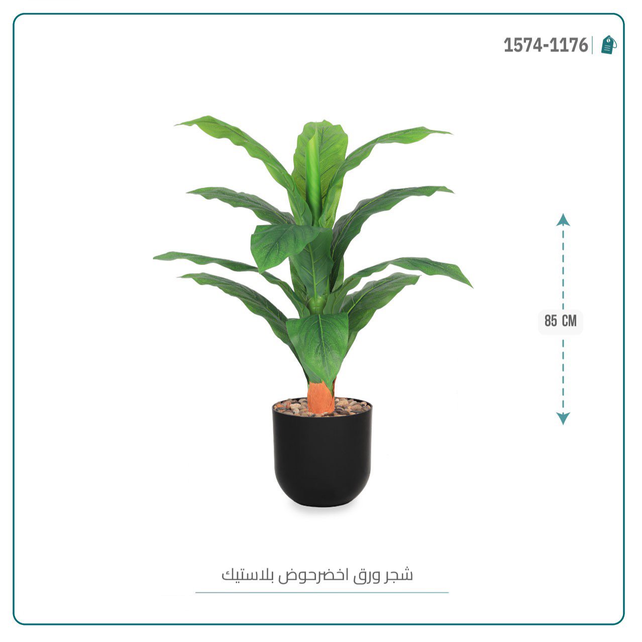 شجرة ورق موز صغير بحوض بلاستيك أسطواني - Image 4