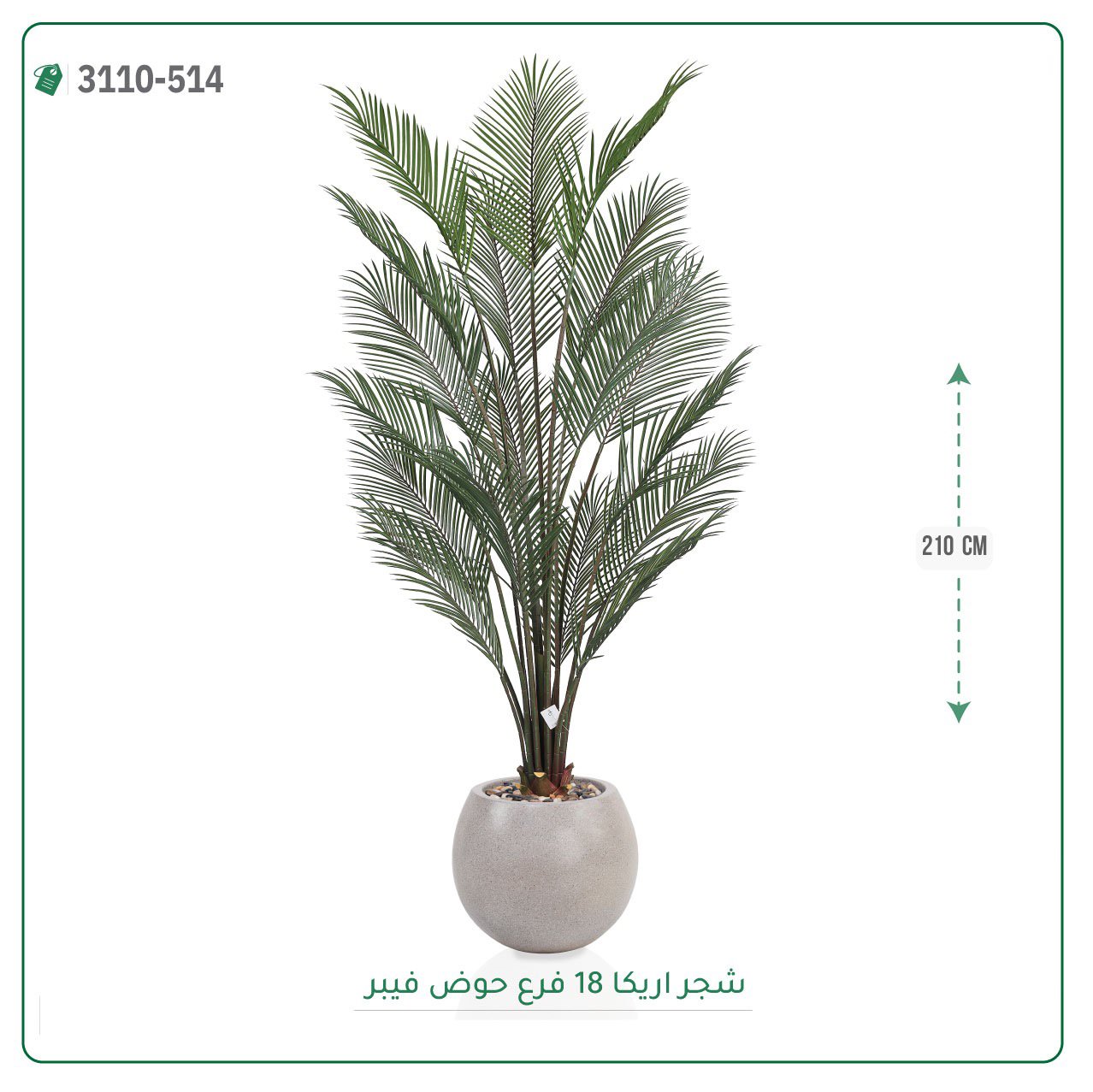 شجرة أريكا صناعية بحوض فيبر - Image 6