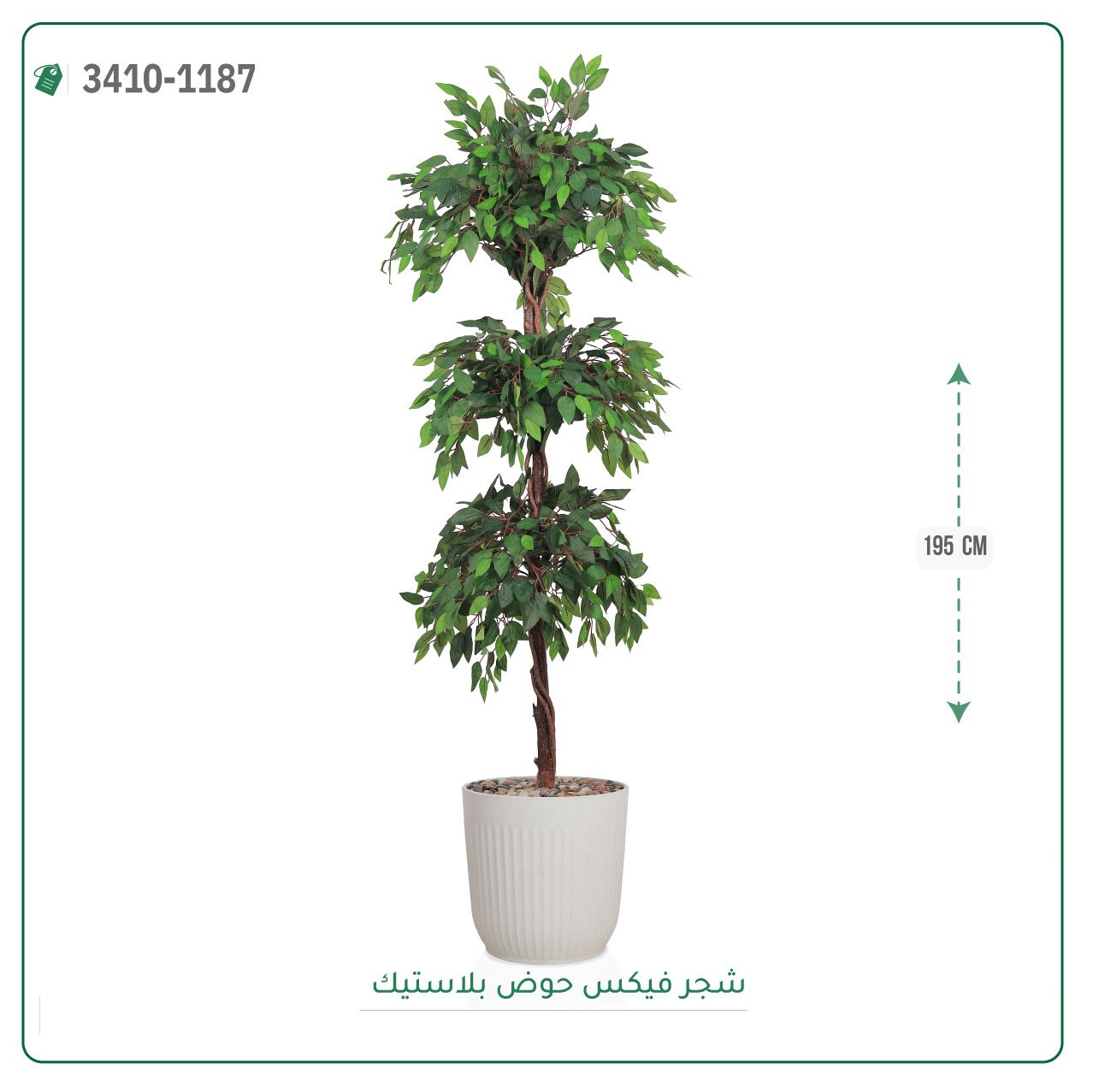شجر فيكس صناعية حوض بلاستك { ارتفاع 195 سم } - صورة 2