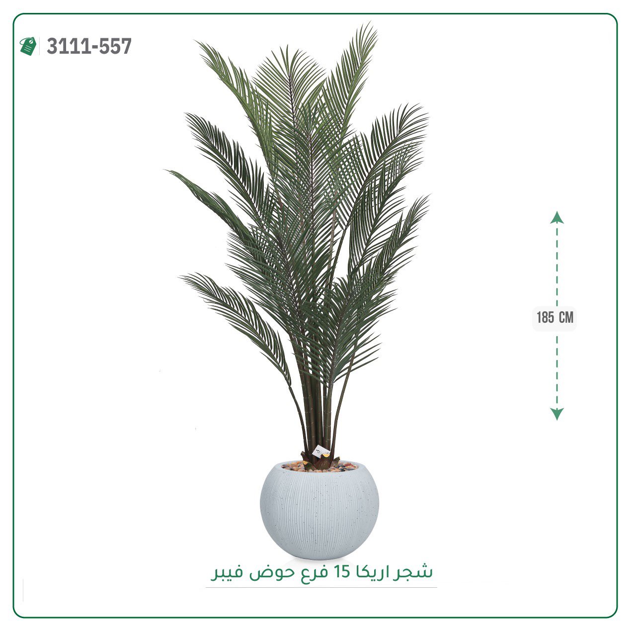شجرة أريكا صناعية حوض فيبر { ارتفاع 185 سم } - صورة 3