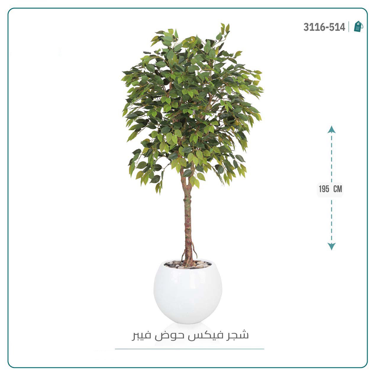 شجرة فيكس صناعية بحوض فيبر - Image 5