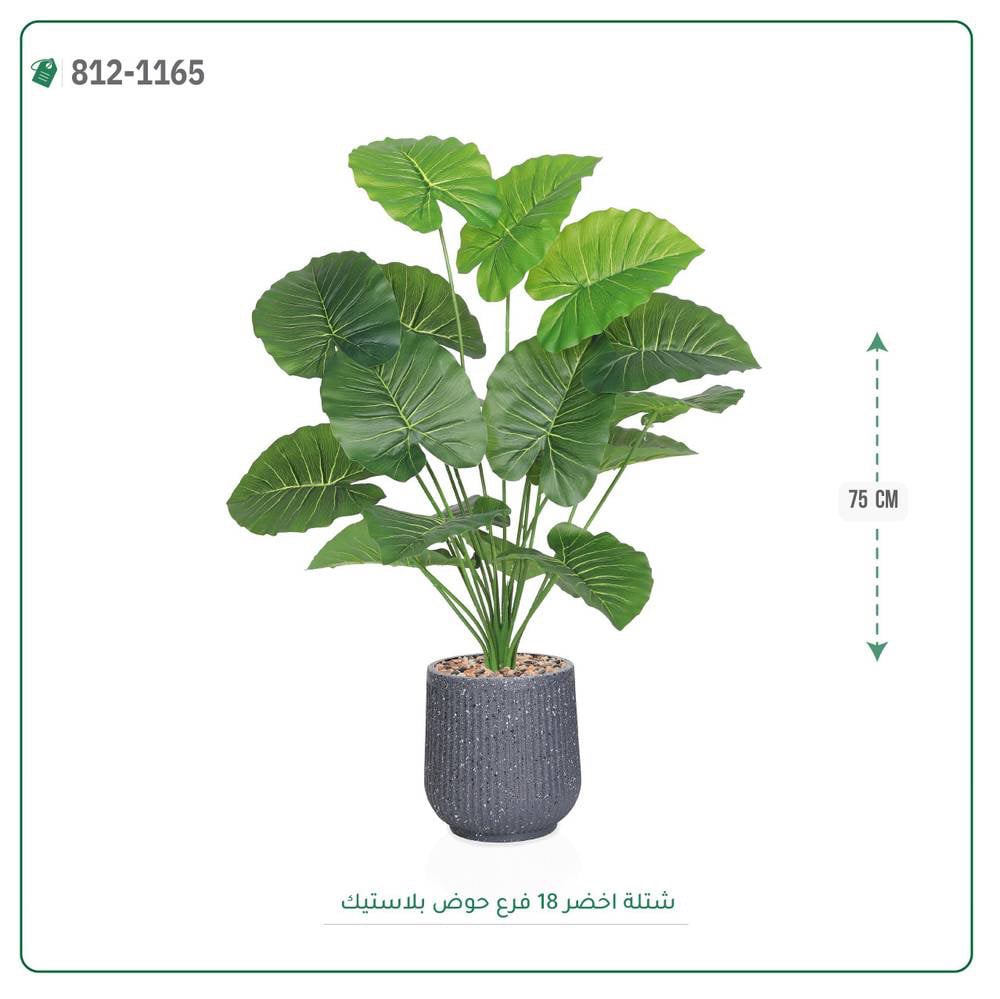 شتلة ورق أخضر صناعية حوض بلاستيك مقلم { ارتفاع 75 سم } - Image 1