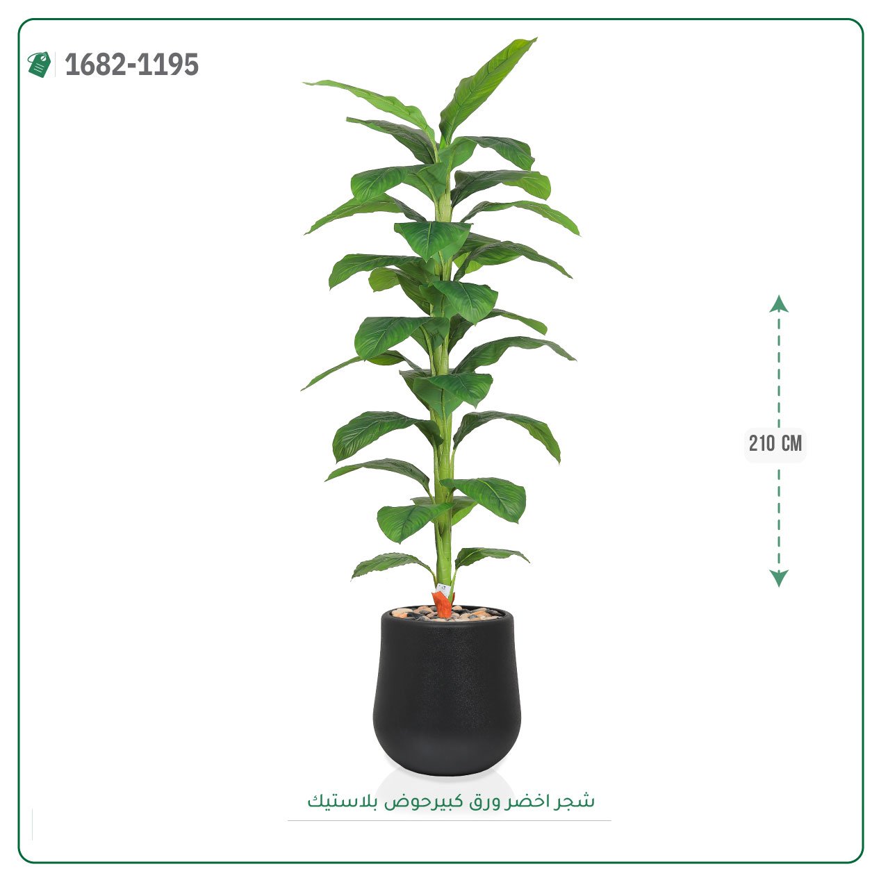 شجر أخضر صناعي حوض بلاستيك { ارتفاع 210 سم } - صورة 2