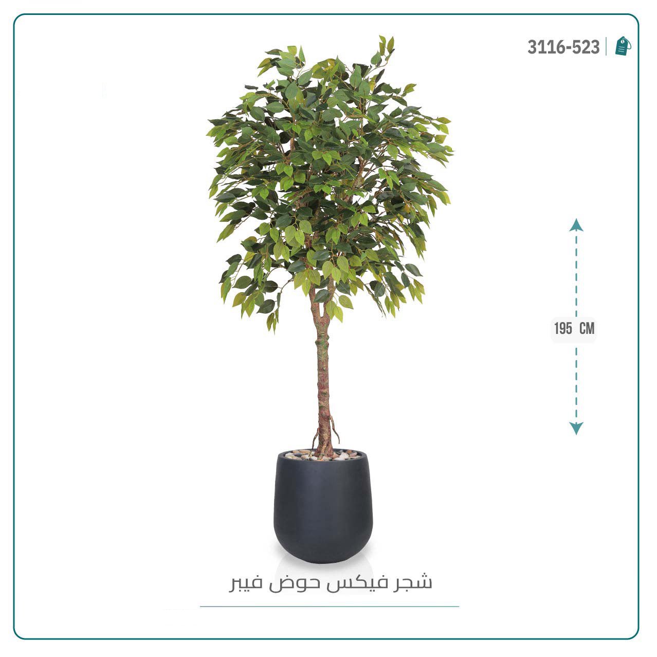 شجرة فيكس صناعي  بمركن فيبر { ارتفاع 195 سم }  - صورة 2