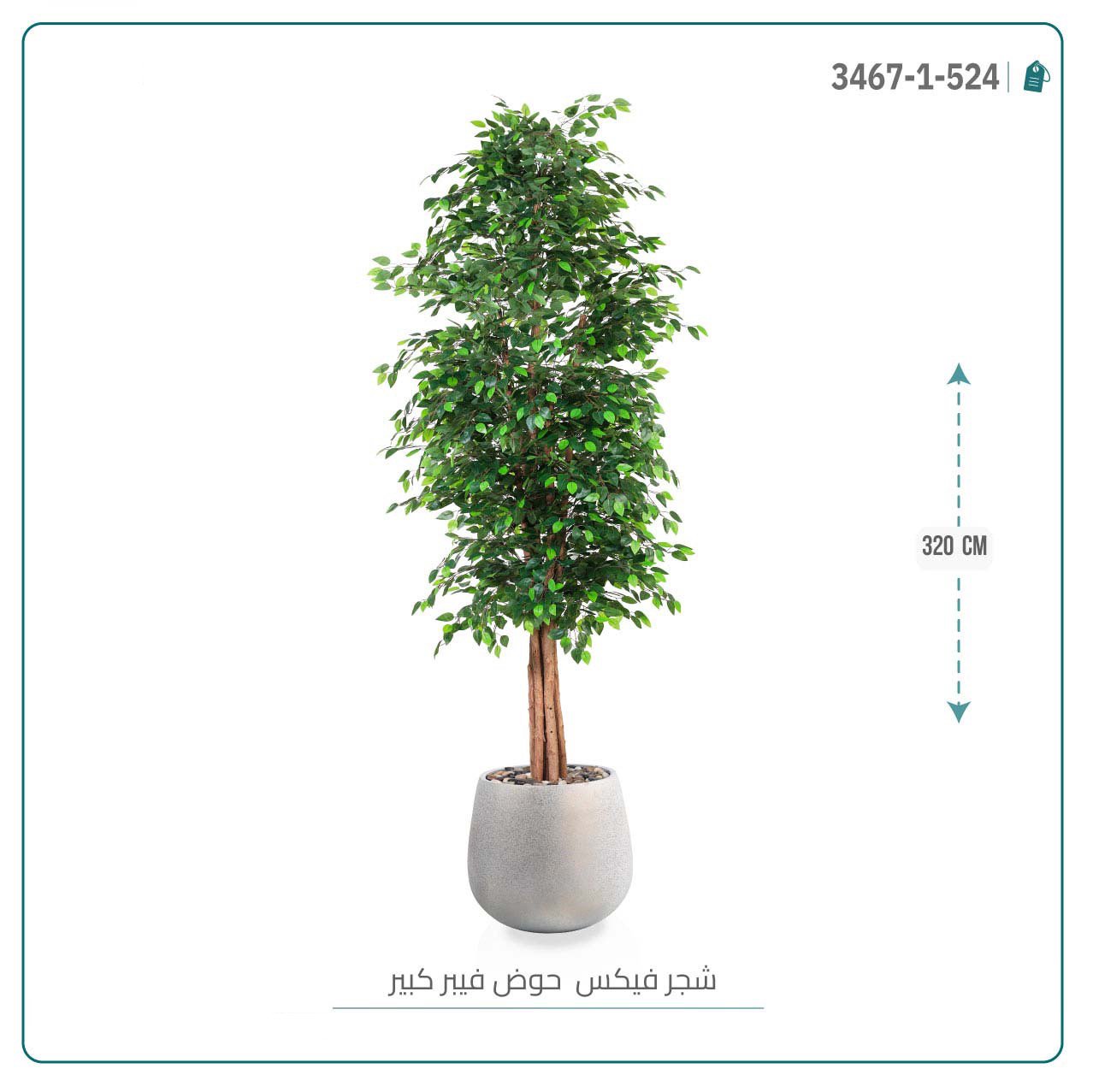 شجرة ورق فيكس اصطناعية بمركن فيبر بيضاوى { بارتفاع 320 سم } - صورة 3
