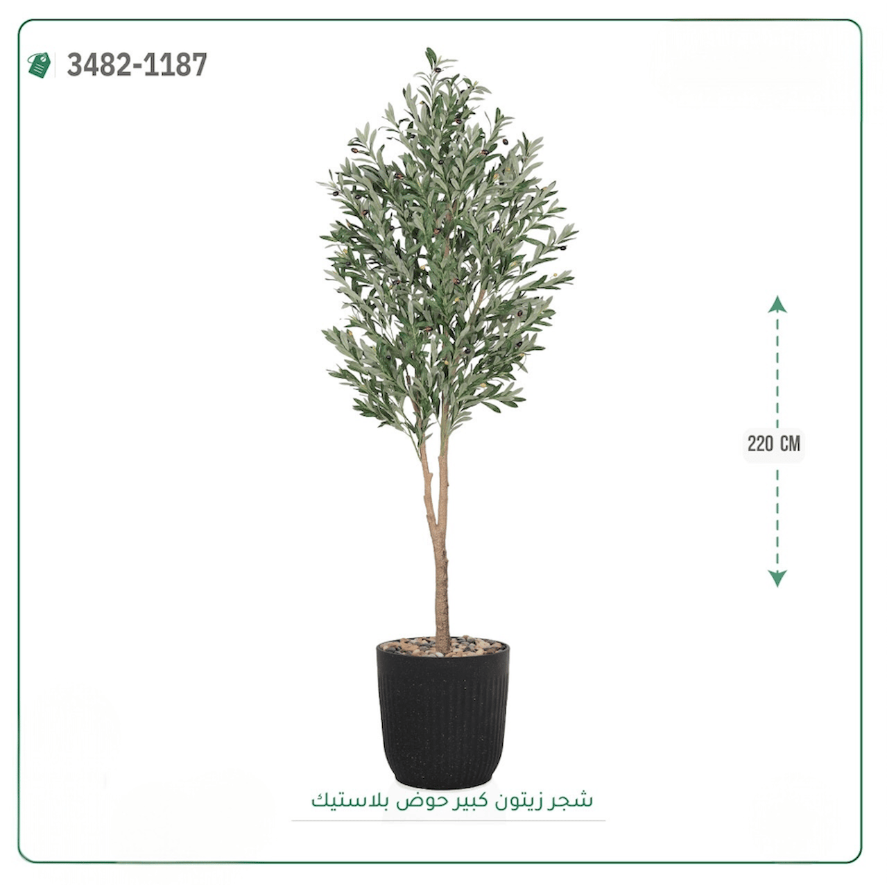 شجرة زيتون صناعية حوض بلاستك { ارتفاع 220 سم } - صورة 2