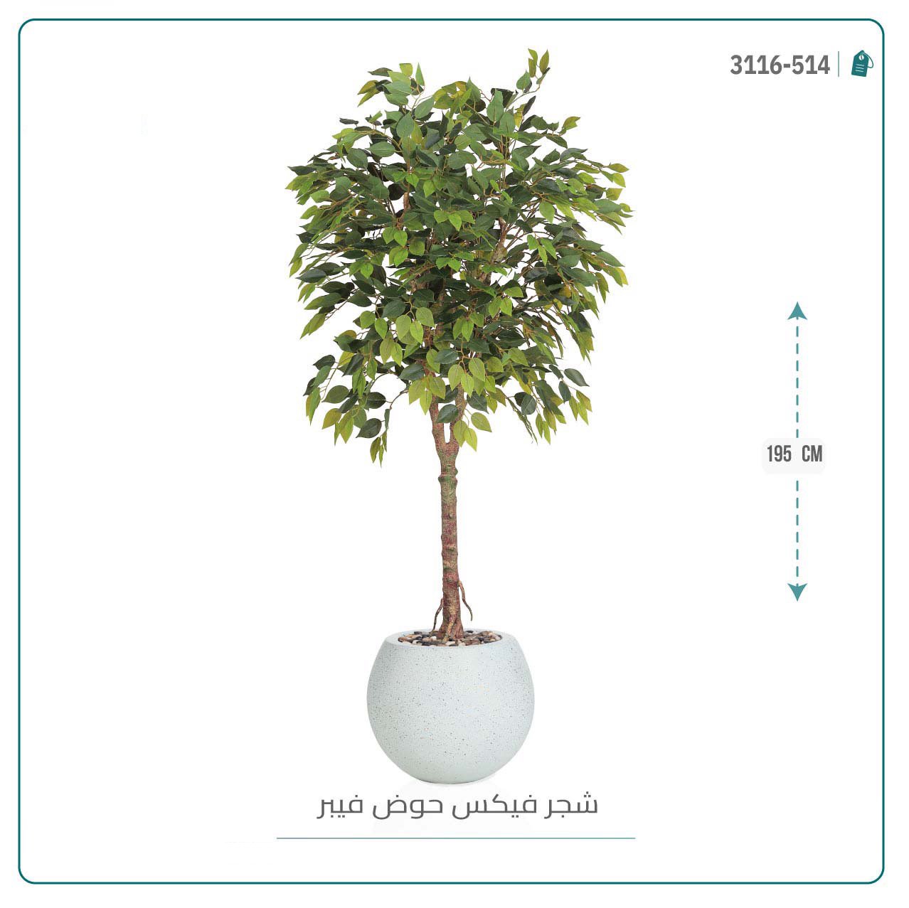 شجرة فيكس صناعية بحوض فيبر - Image 2
