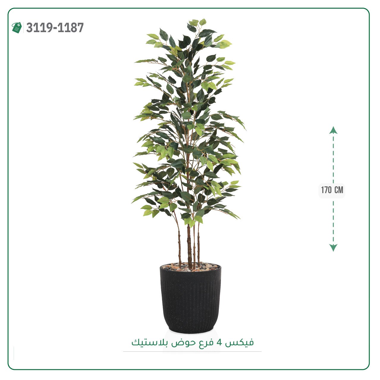 شجر فيكس صناعية حوض بلاستك { ارتفاع 170 سم } - صورة 3