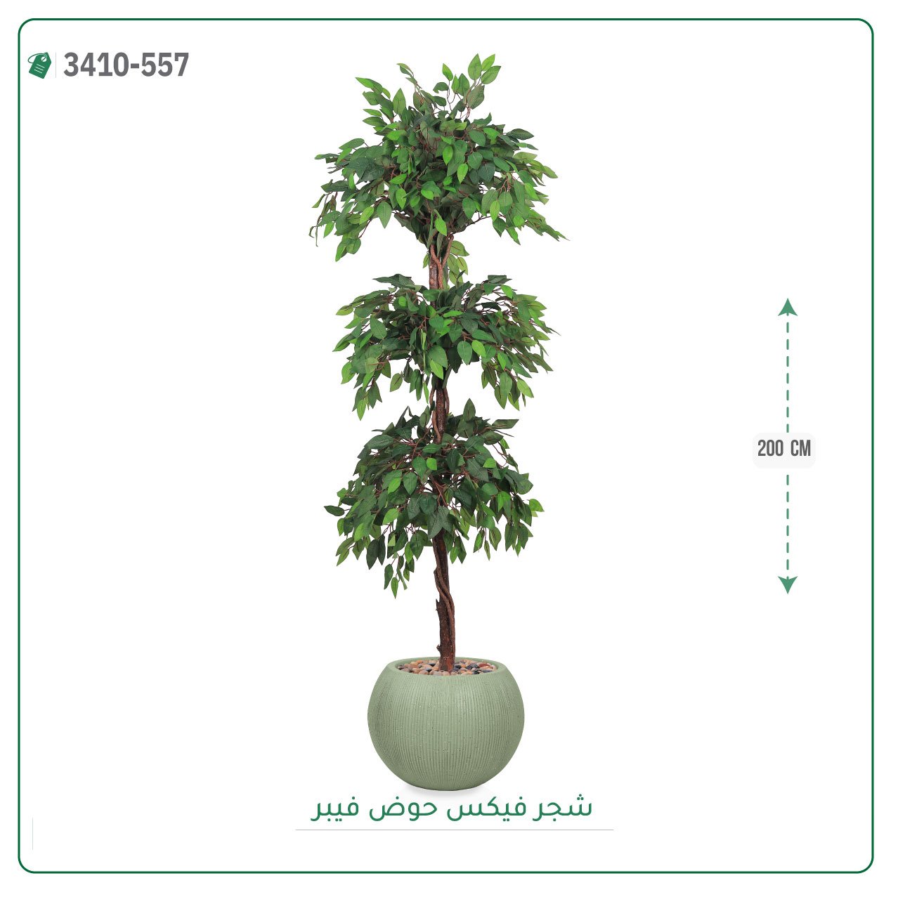 شجر فيكس صناعية حوض فيبر { ارتفاع 200 سم } - صورة 8