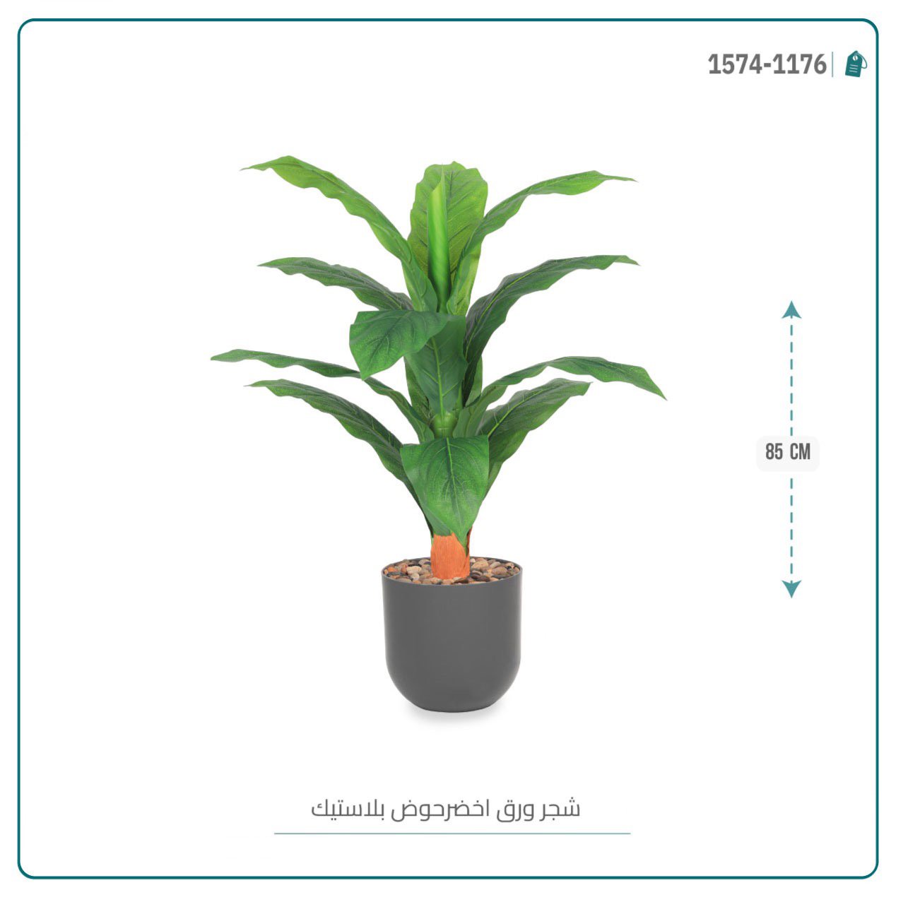 شجرة ورق موز صغير بحوض بلاستيك أسطواني - Image 2