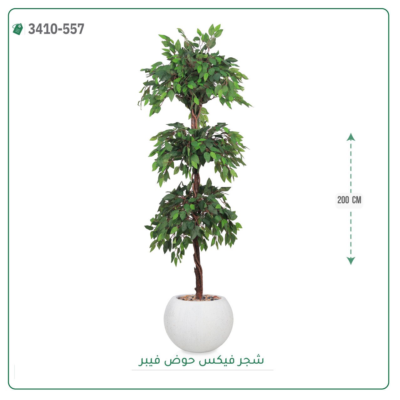 شجر فيكس صناعية حوض فيبر { ارتفاع 200 سم } - صورة 7