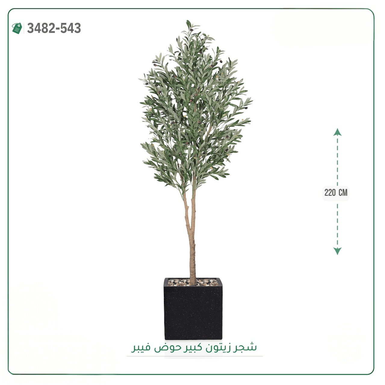 شجرة زيتون صناعية حوض فيبر { ارتفاع 220 سم } - صورة 3