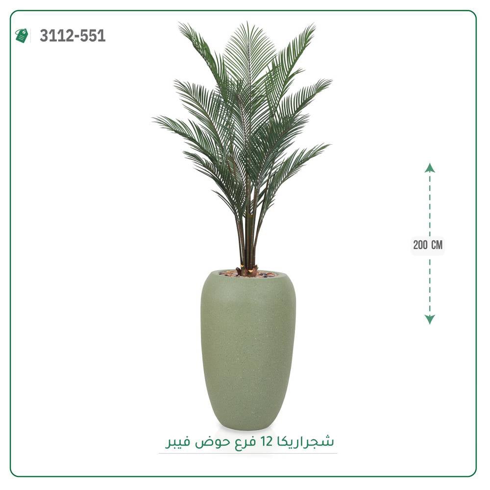 شجر اريكا صناعي حوض فيبر { ارتفاع 200 سم } - صورة 1