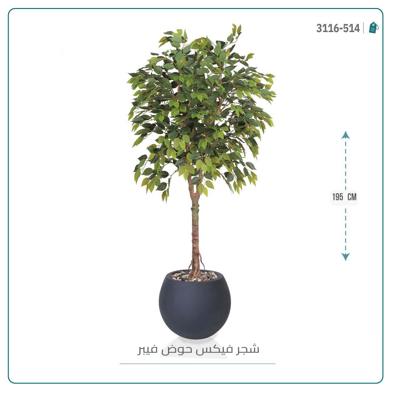 شجرة فيكس صناعية بحوض فيبر - Image 1