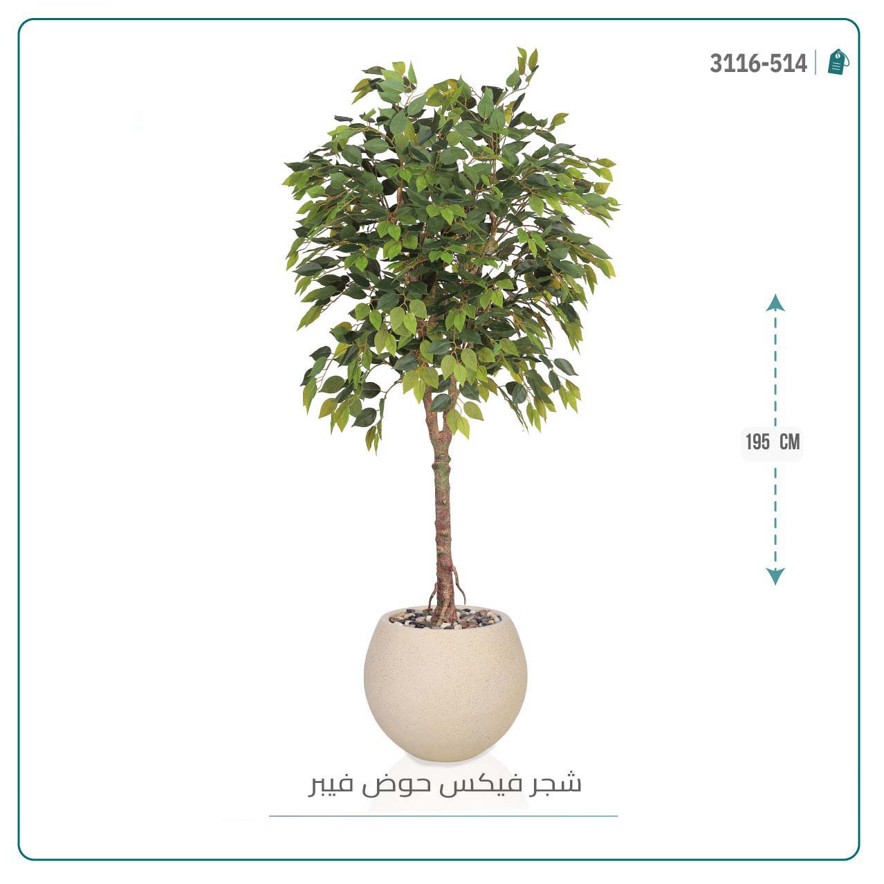 شجرة فيكس صناعية بحوض فيبر - Image 3