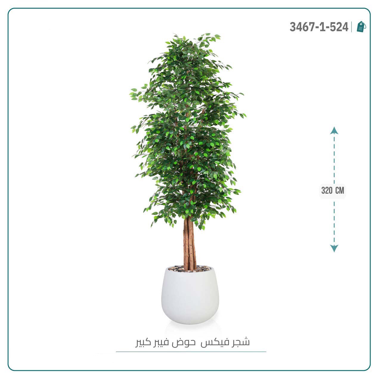 شجرة ورق فيكس اصطناعية بمركن فيبر بيضاوى { بارتفاع 320 سم } - صورة 2