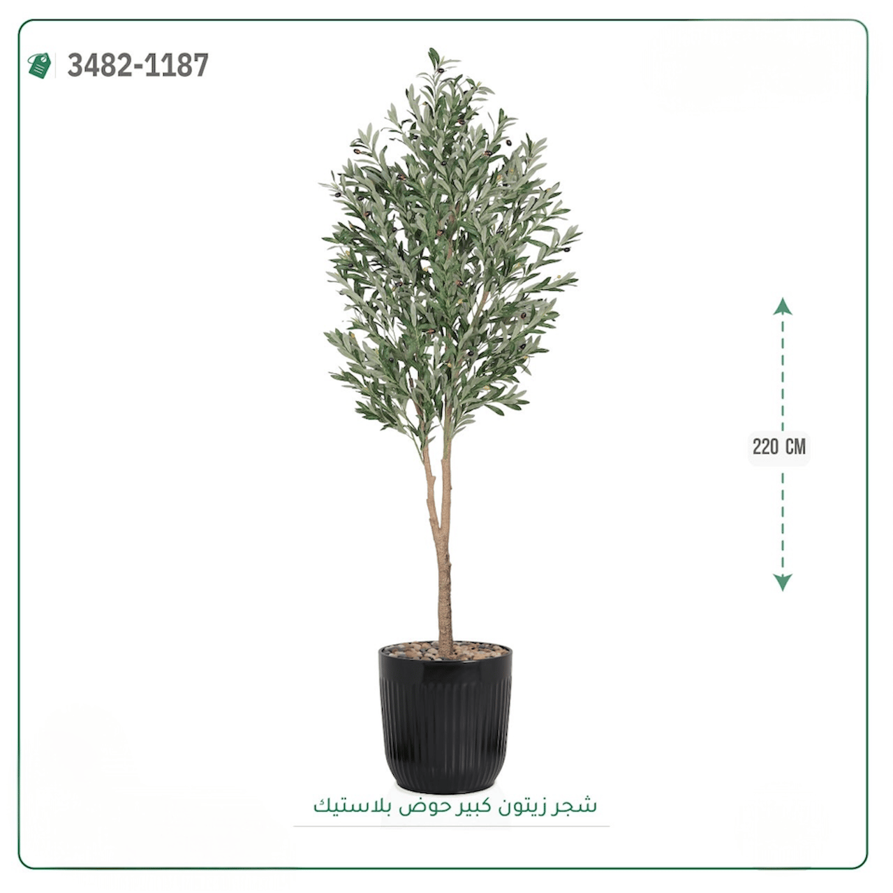 شجرة زيتون صناعية حوض بلاستك { ارتفاع 220 سم } - صورة 1