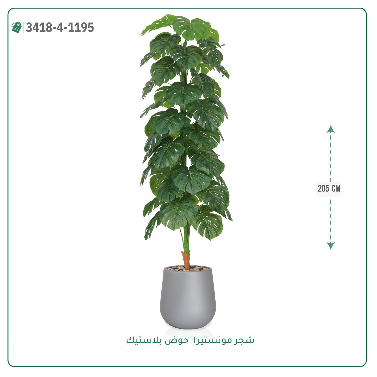 شجر مونستيرا صناعية  حوض بلاستيك { ارتفاع 205 سم } - صورة 2