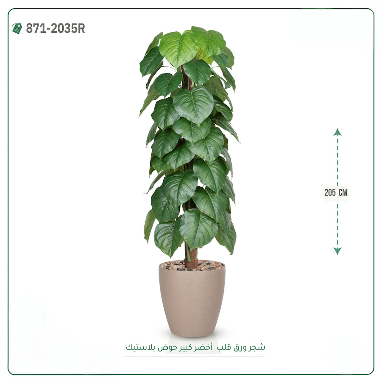 شجرة ورق قلب اصطناعية  حوض بلاستيك { ارتفاع 205 سم } - صورة 5