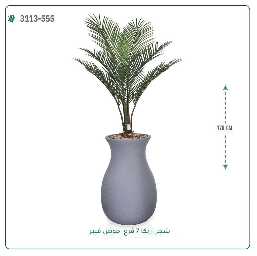 شجر أريكا بمركن فيبر على شكل زير {7 فروع }  ارتفاع { 160 سم } - صورة 1