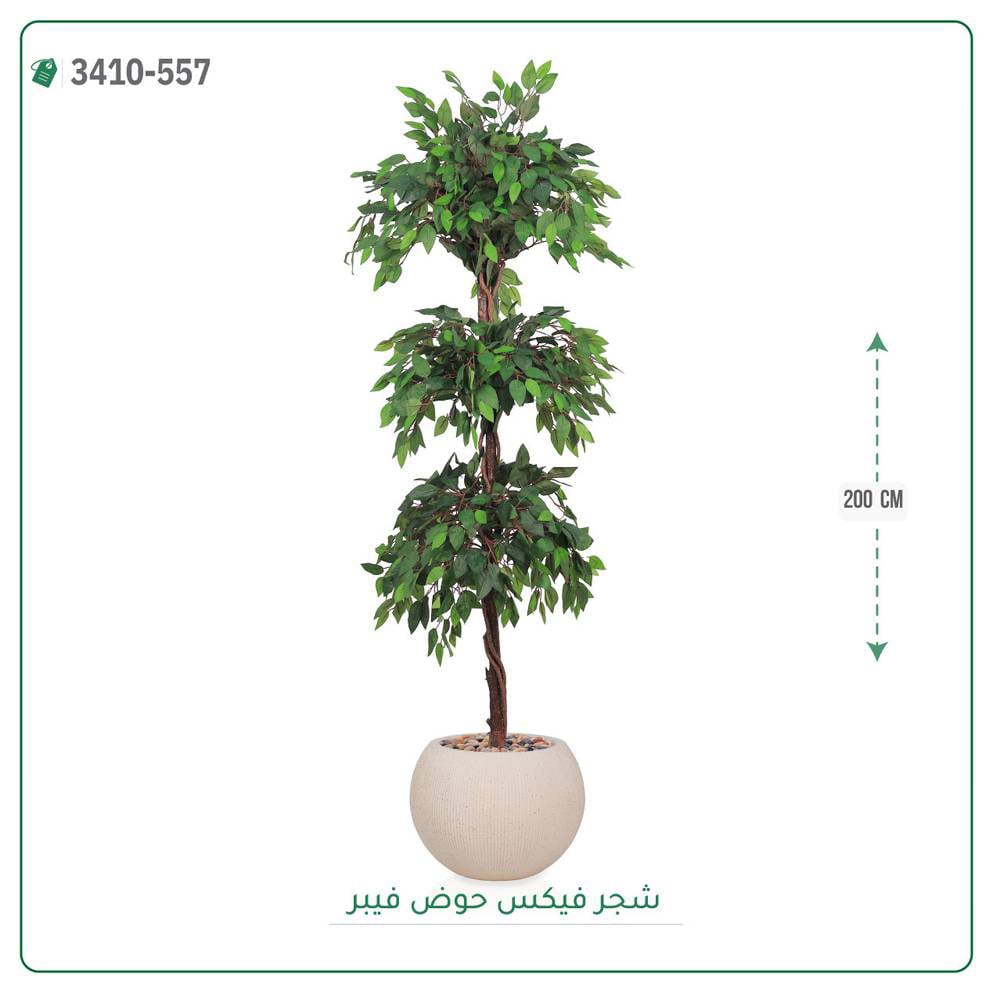 شجر فيكس صناعية حوض فيبر { ارتفاع 200 سم } - صورة 2