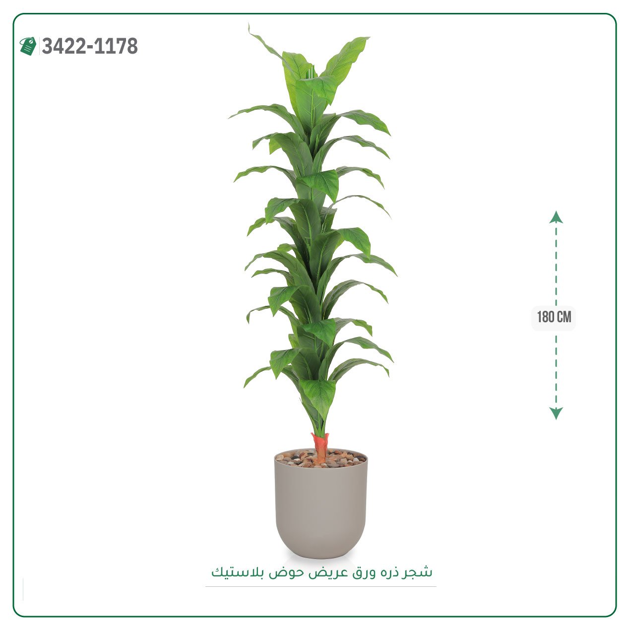 شجرة ذرة صناعية حوض بلاستيك { ارتفاع 180 سم } - صورة 4