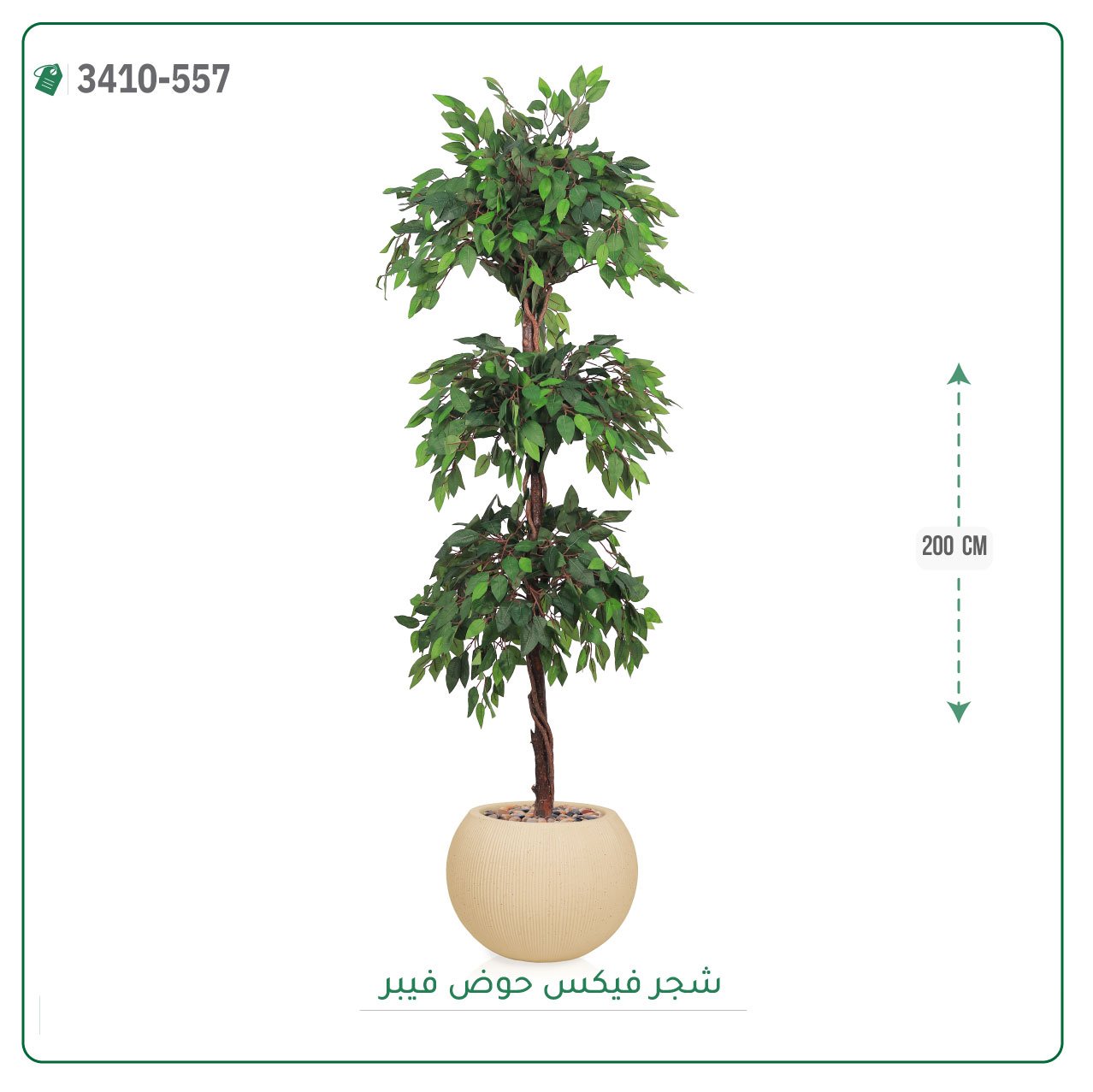 شجر فيكس صناعية حوض فيبر { ارتفاع 200 سم } - صورة 5